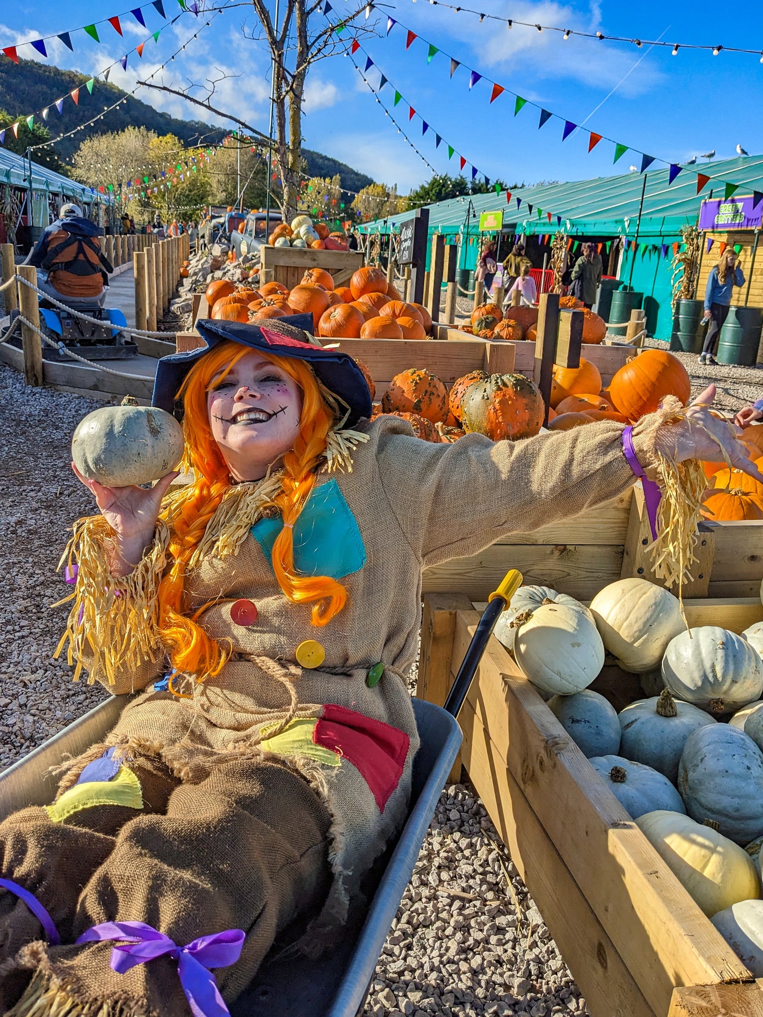 Pumpkin picking at Manorafon Pumpkin Fest